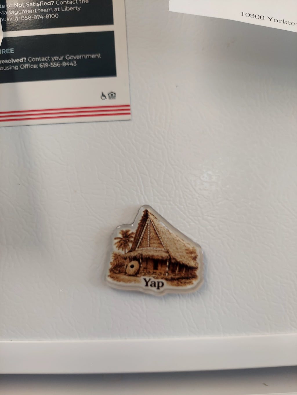 YAP keychian and Magnet set