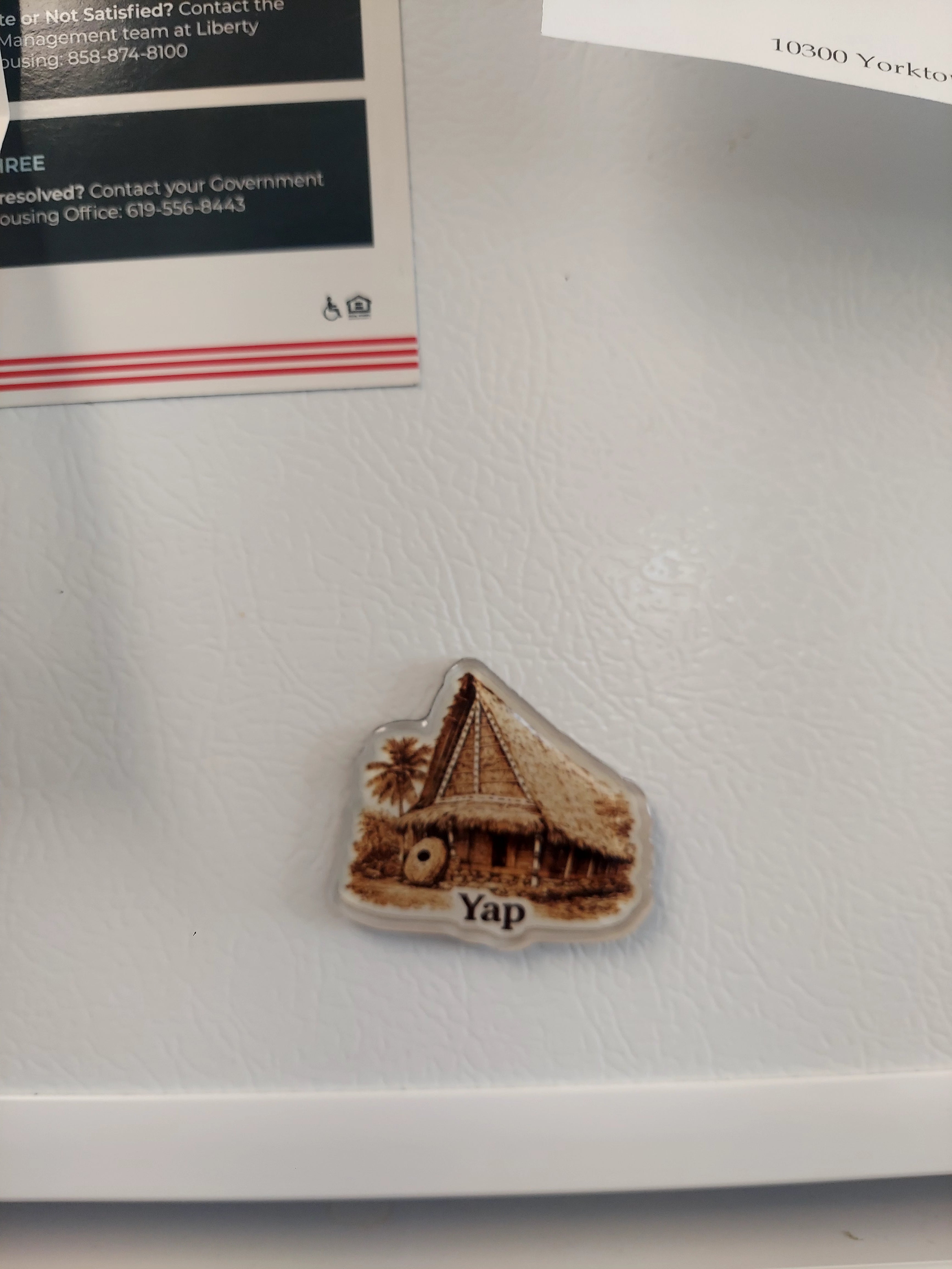 YAP keychian and Magnet set