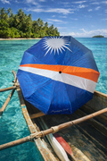 RMI PRIDE Umbrella
